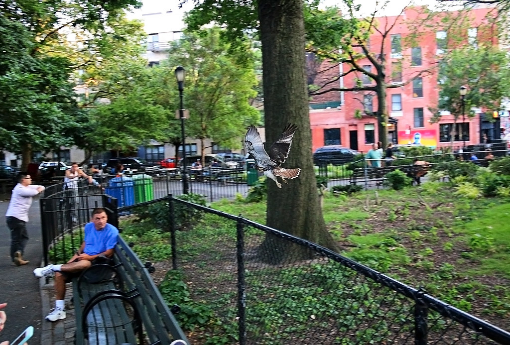 Tompkins Square Park 071214 Goggla Flickr