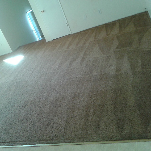 Need a clean carpet..3106543287 so.cal DK carpetcleanin… Flickr