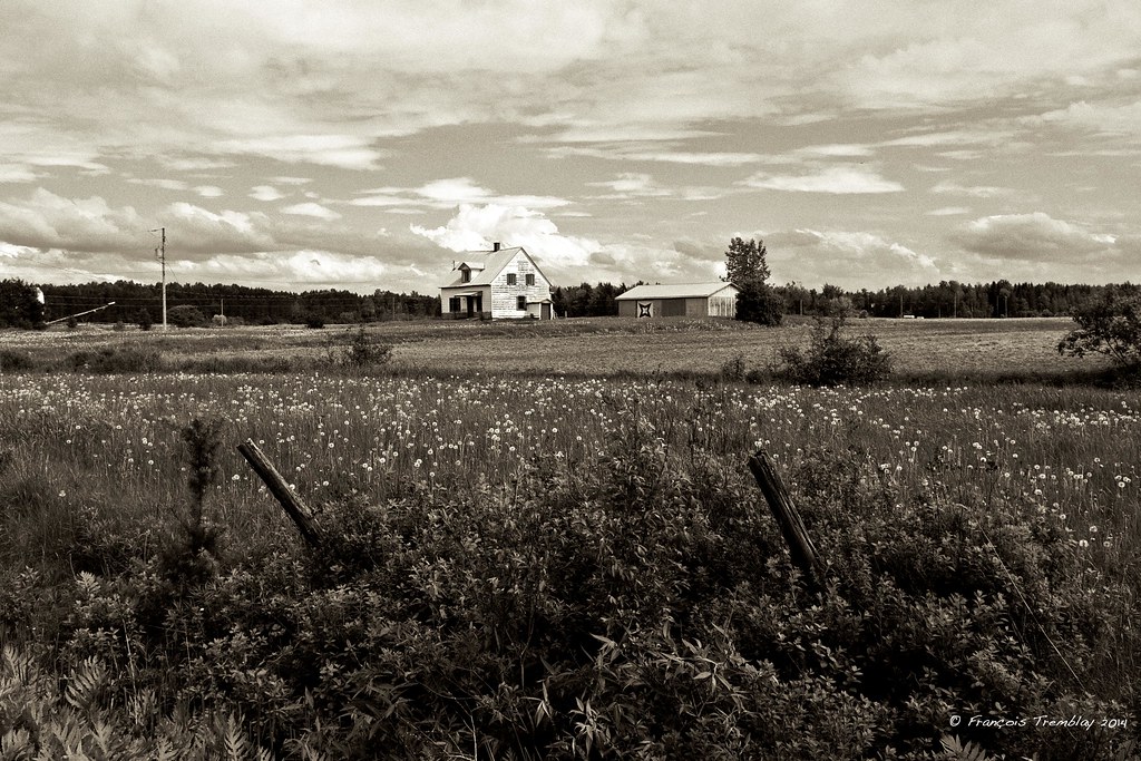 Elevation of Plessisville, QC, Canada Topographic Map Altitude Map