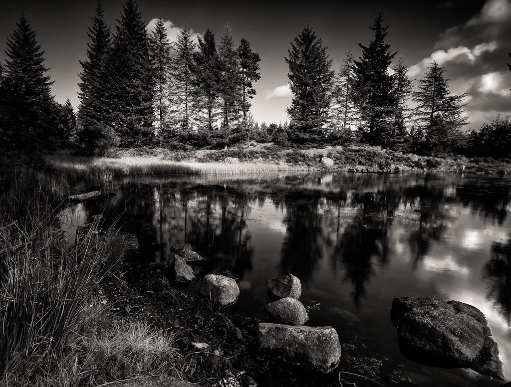 Galloway Forest Drive2.jpg Dylan Nardini Flickr