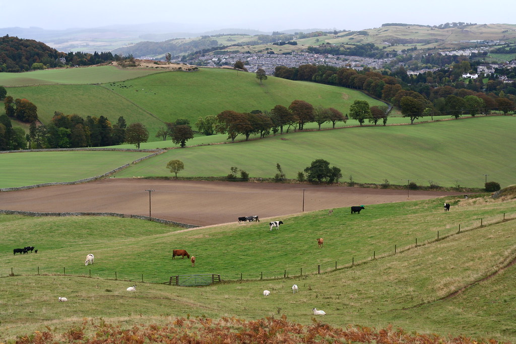 RURAL SCENE. a look towards hawick. and wilton lodge park,… Flickr