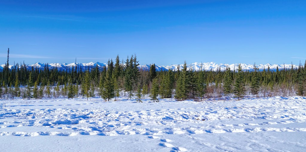 Good Morning from Alaska Up bright and early as I am every… Flickr