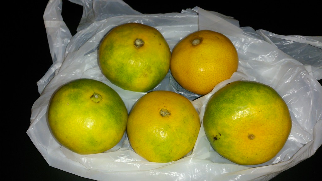 Japanese oranges A man came up to me in a parking lot in T… Flickr