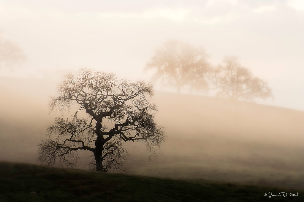 Huasna Early morning in the rolling hills of Huasna Valley… Flickr