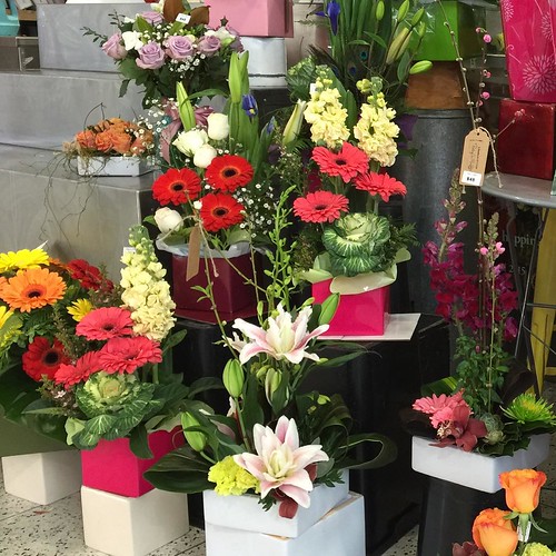 ⬅️order now Share,Like or Com… Flickr