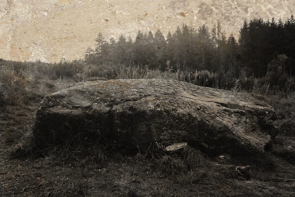 The Prisoners' Stone , Culloden Forest It is reputed that … Flickr