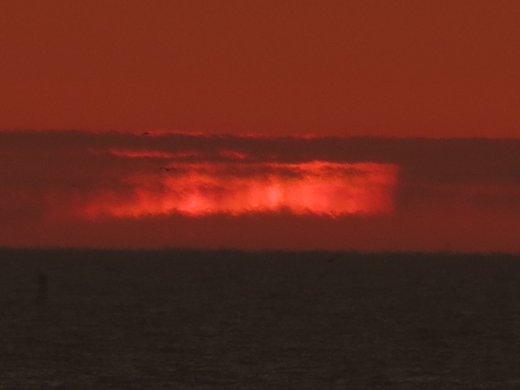 IMG_4183 Mila Zinkova Flickr