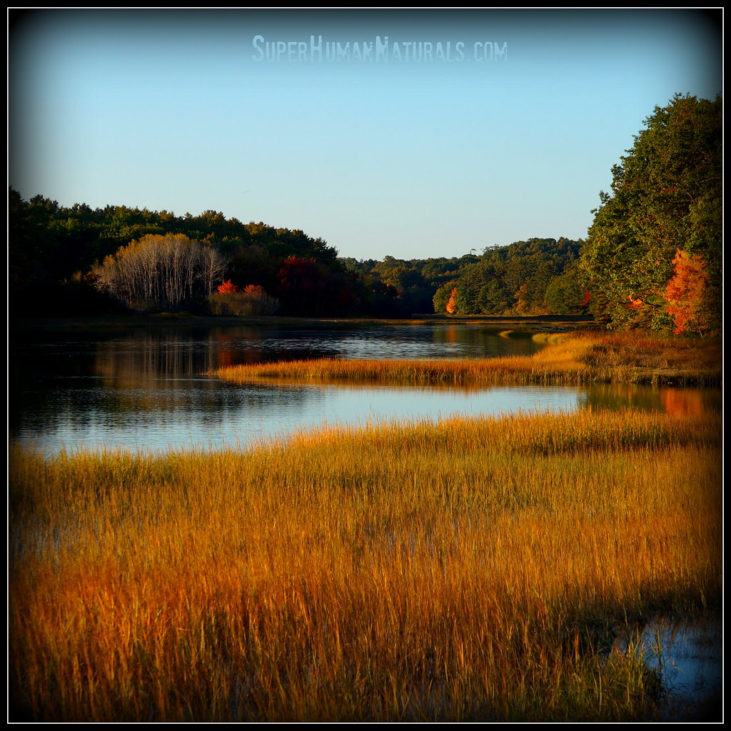 1042014 Evening Tide An autumn evening, Thomaston, Maine… Flickr