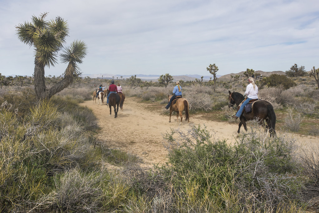 Horseback riding on the California Riding and Hiking Trail… Flickr