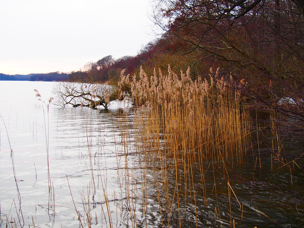 Lakeside colours Lake Farum, Denmark Gudrun Dalgeir Flickr