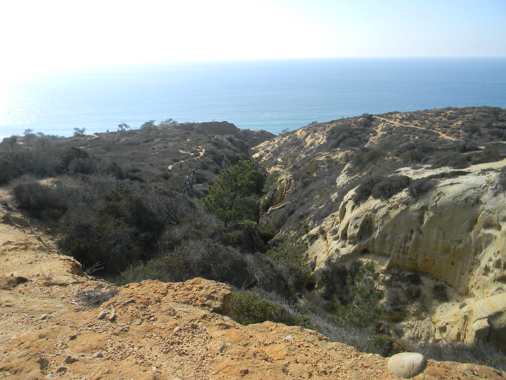 La Jolla/Carlsbad Torrey Pines Preserve Jim Flickr