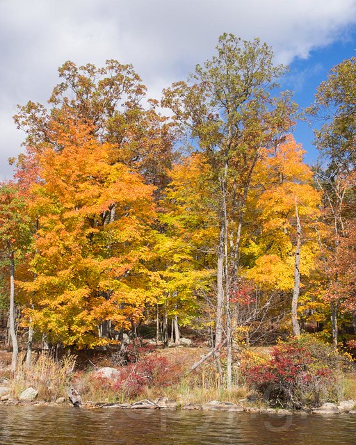 Foliage at Lake Sebago, Harriman State Park, New York a photo on