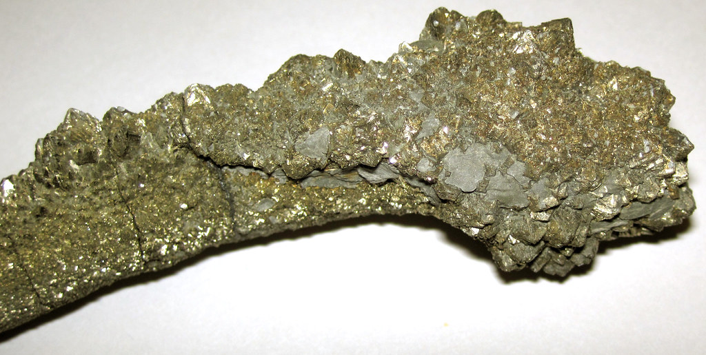 Pyrite snake concretion (Ohio Shale, Upper Devonian; creek… Flickr