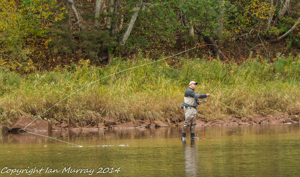 IMGL1473 Fly Fishing for Atlantic Salmon in the Wallace Ri… Flickr