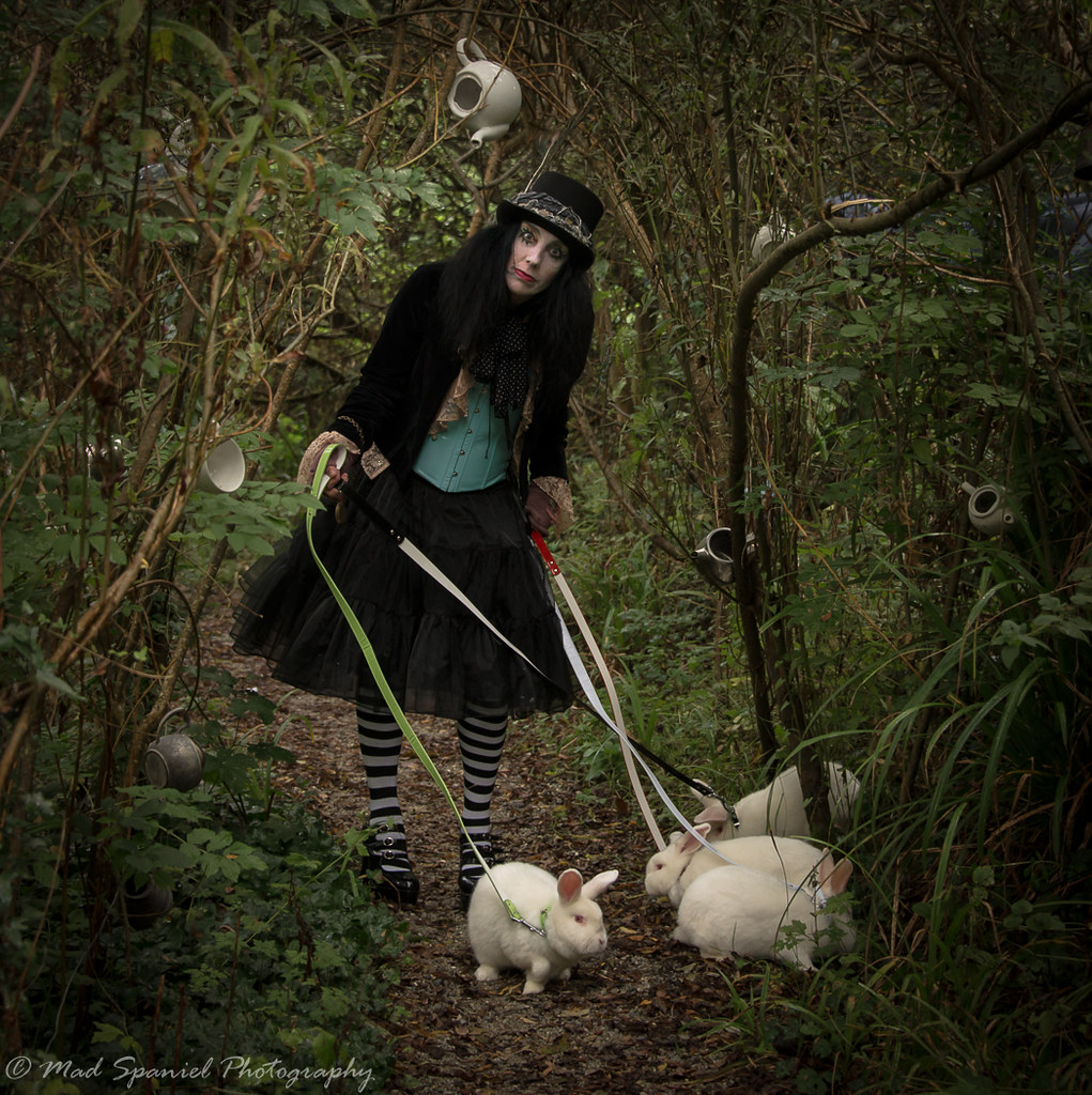 Mad Hatter walking the white rabbits Mad hatter. tea party… Flickr