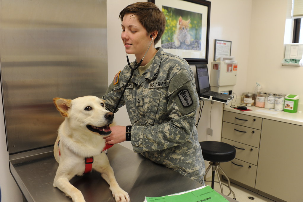 Veterinary Services Not Just Pet Care They care for our c… Flickr