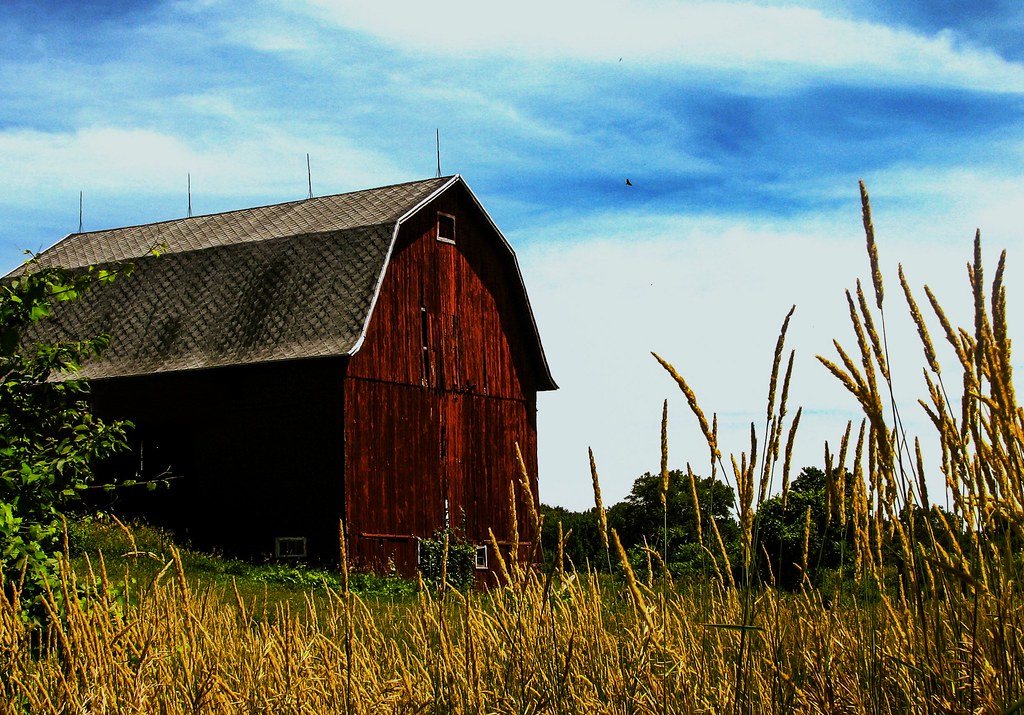 newbarn Joanne Canen Flickr