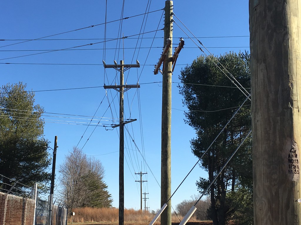 Dominion and Rappahannock Electric Cooperative Scott Murray Flickr