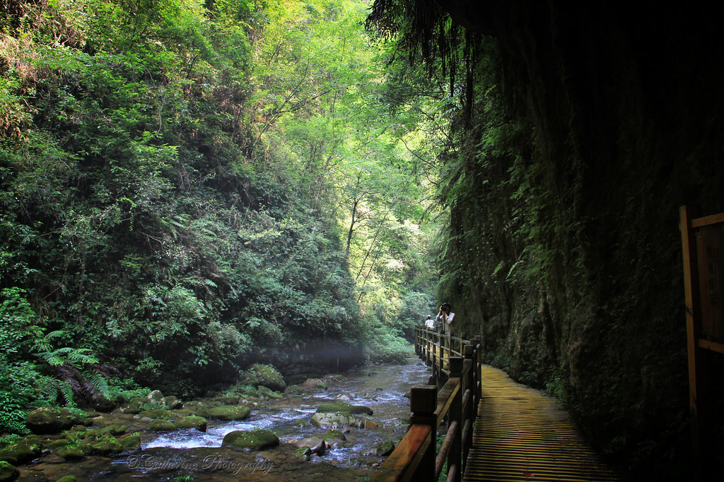 Grand Canyon, Zhangjiajie, China, 大峡谷 (中国)MG_7025.1 Flickr