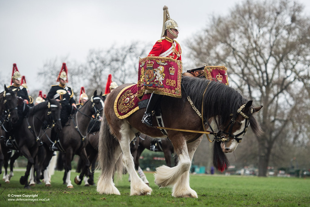 QUEENS CAVALRY READY FOR SUMMER OF CEREMONIAL Pictured is … Flickr