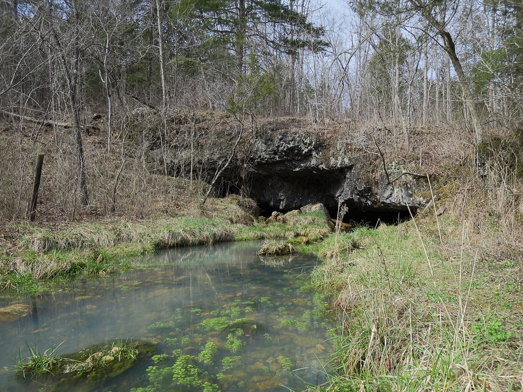 22 March 2017 Powder Mill Cave and Cove Spring Shannon… Flickr