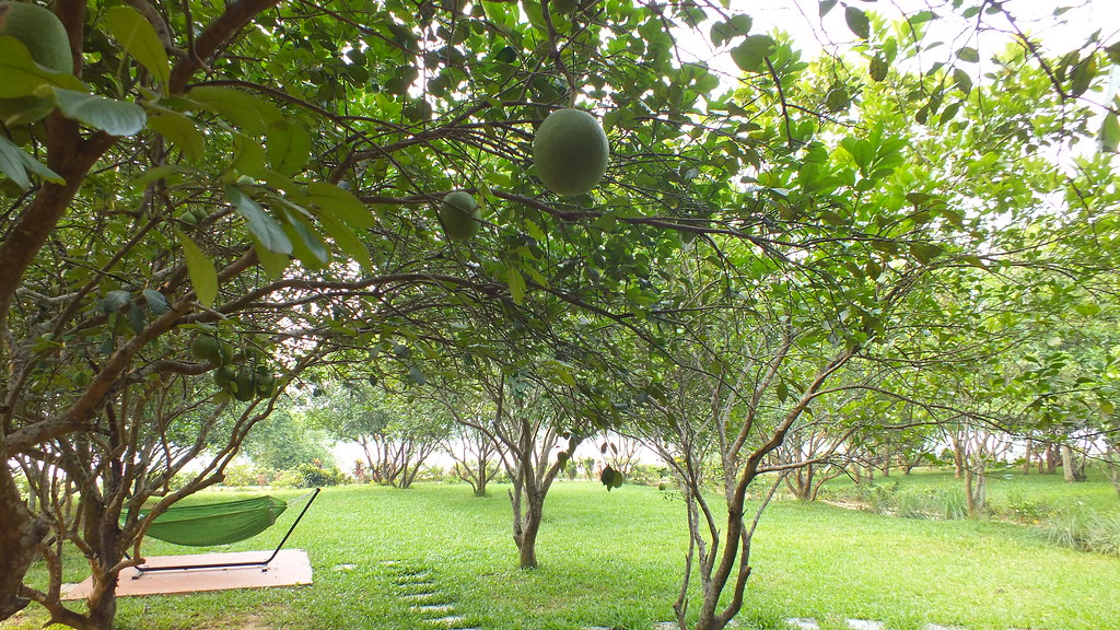 Pomelo Garden Hue Riverside Boutique Resort & Spa A 588 B… Flickr