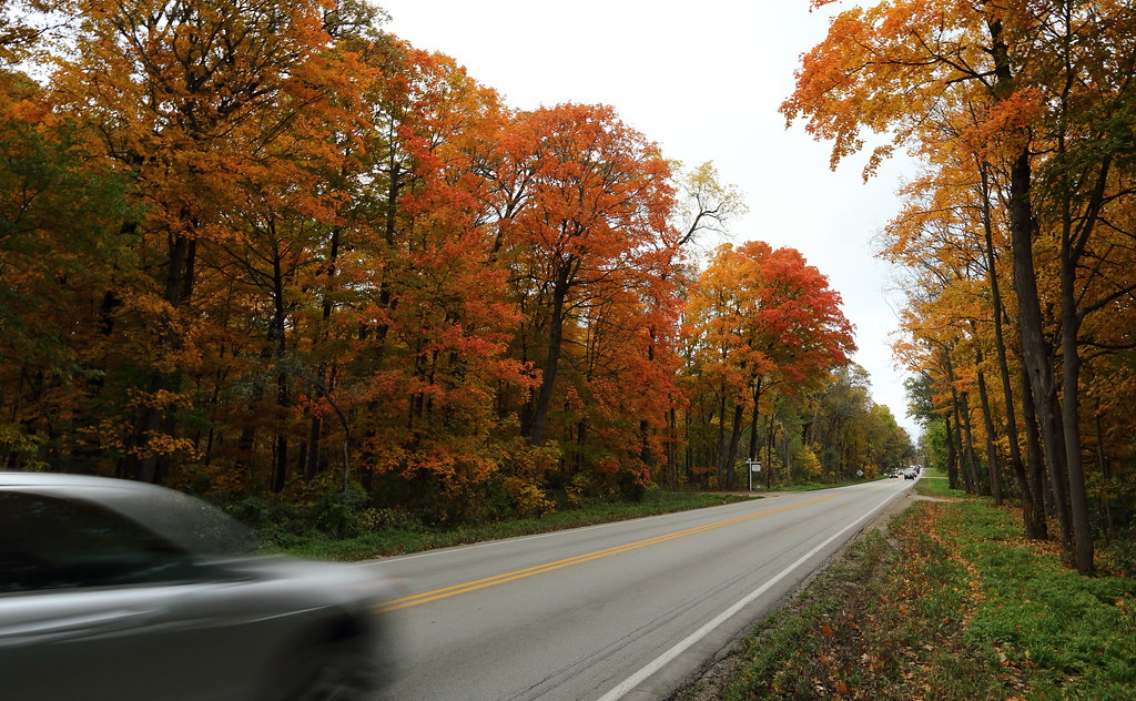 Dunham Road I have been enjoying the fall foliage on this … Flickr