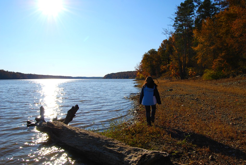 Staunton River State Park walk near the boat launch Flickr