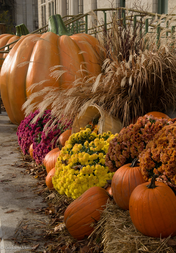 Halloween, ville de Québec Décorations à l'hôtel de ville Flickr