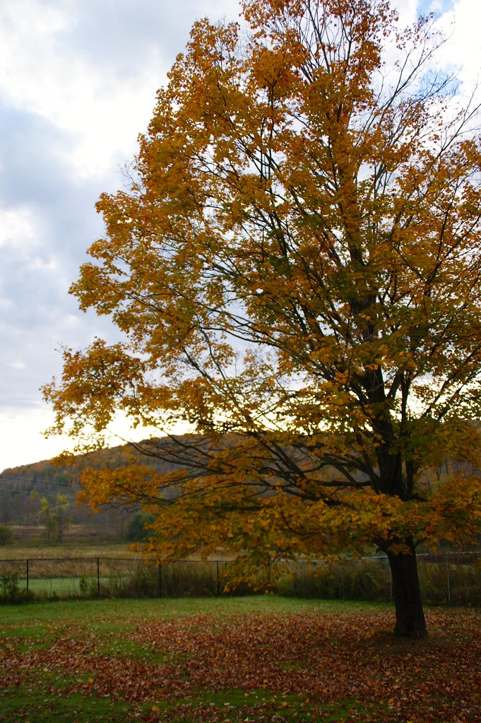 Burlington Flats NY silviadc Flickr