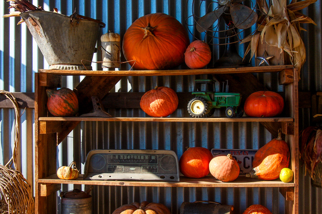 Yesterland At Yesterland Farm near Canton, TX TPorter2006 Flickr