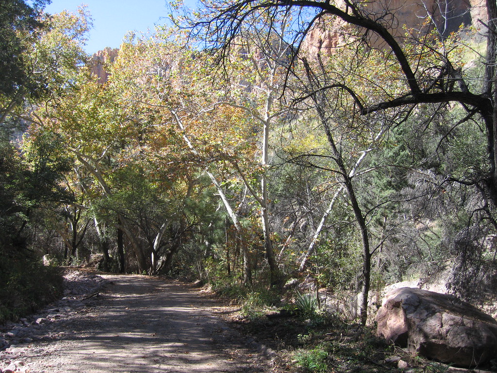 IMG_4829 2014_Oct_30 Cave Creek Canyon_Memories of Bisbee Chris