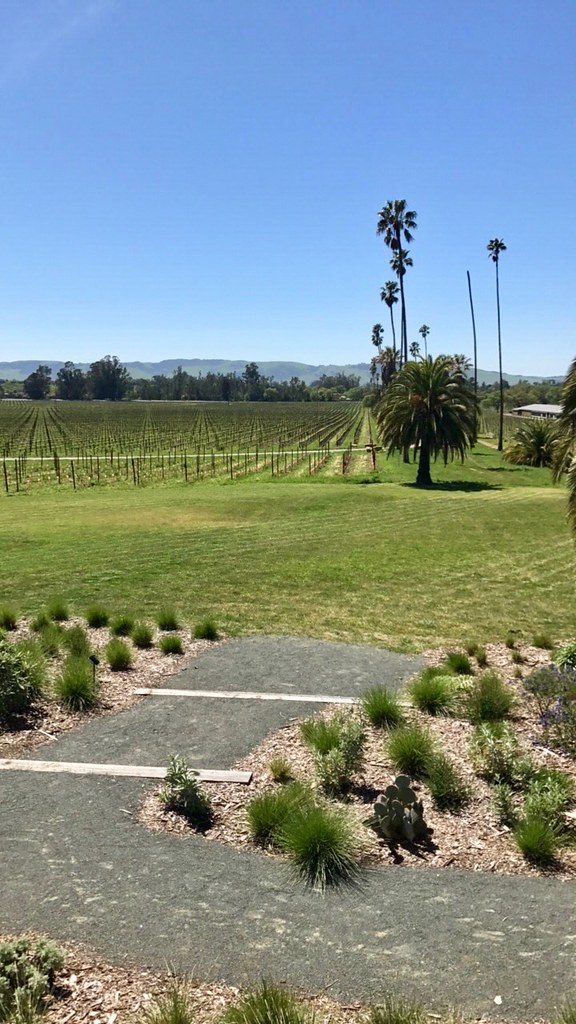 Sonoma & Napa & Oakland Flickr