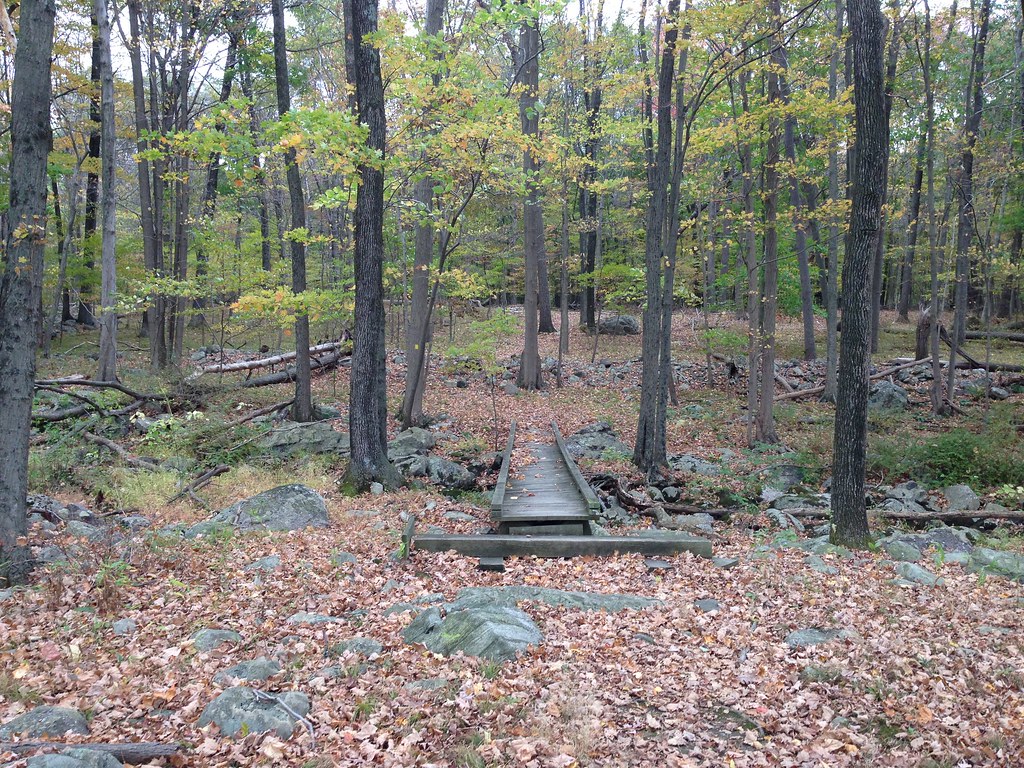 03 Kincaid Woods Yellow Trail 03 Mad Hare Imagery Flickr