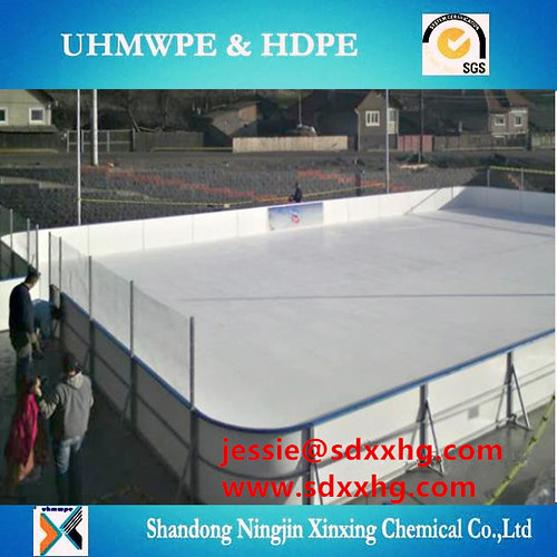 ice rink barrier 36 puck board Jessie Liu Flickr