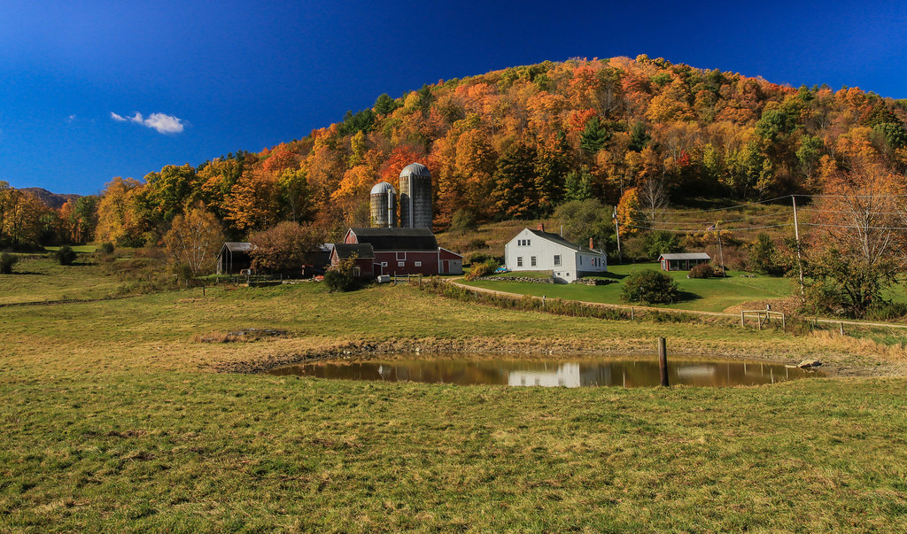 Farm with fall foliage, Pownal, Vermont, 2014 Peter Rintels Flickr