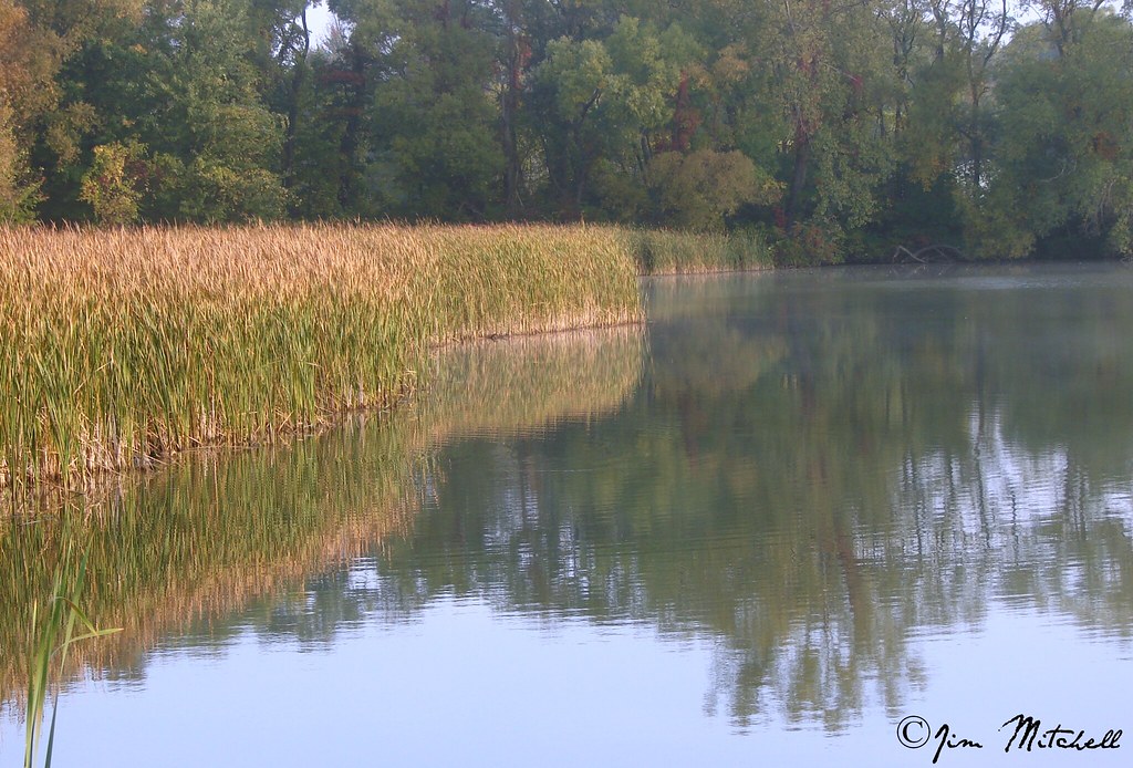 "Sunrise along the marsh" Erie canal, Wide waters, Spencer… Flickr