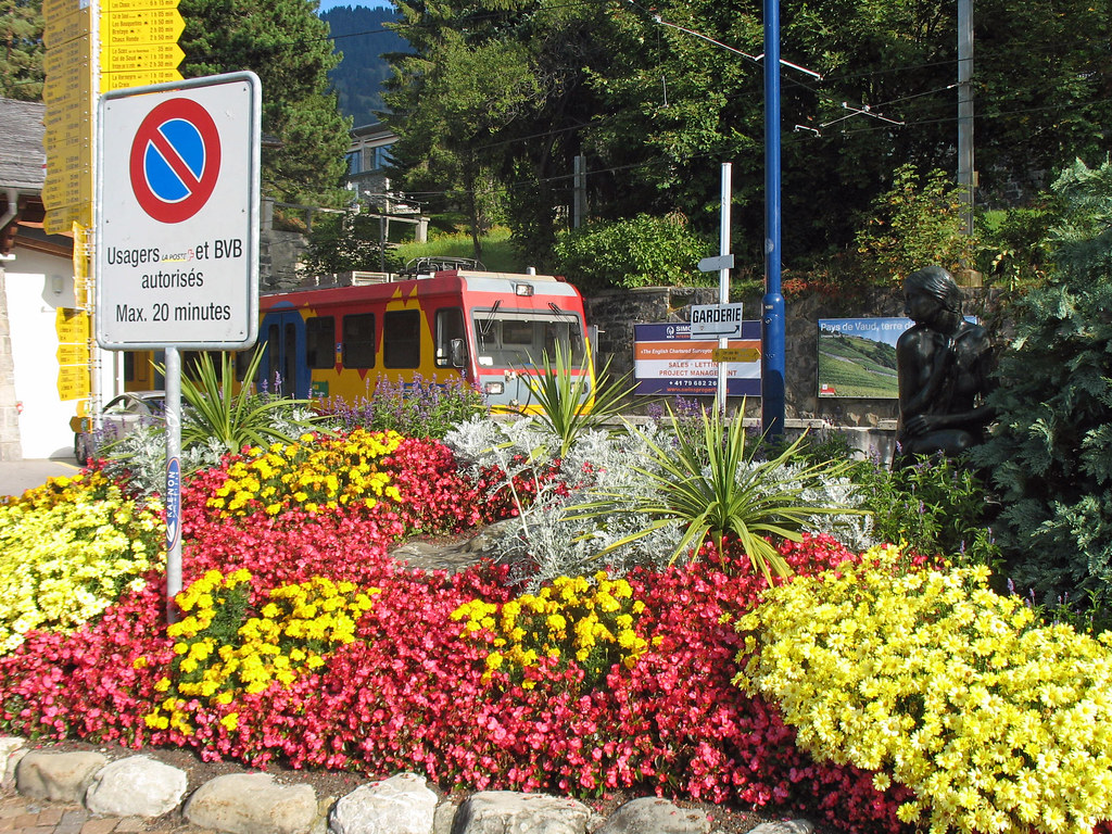 Flowers in the central square of Villars sur Olton Flickr