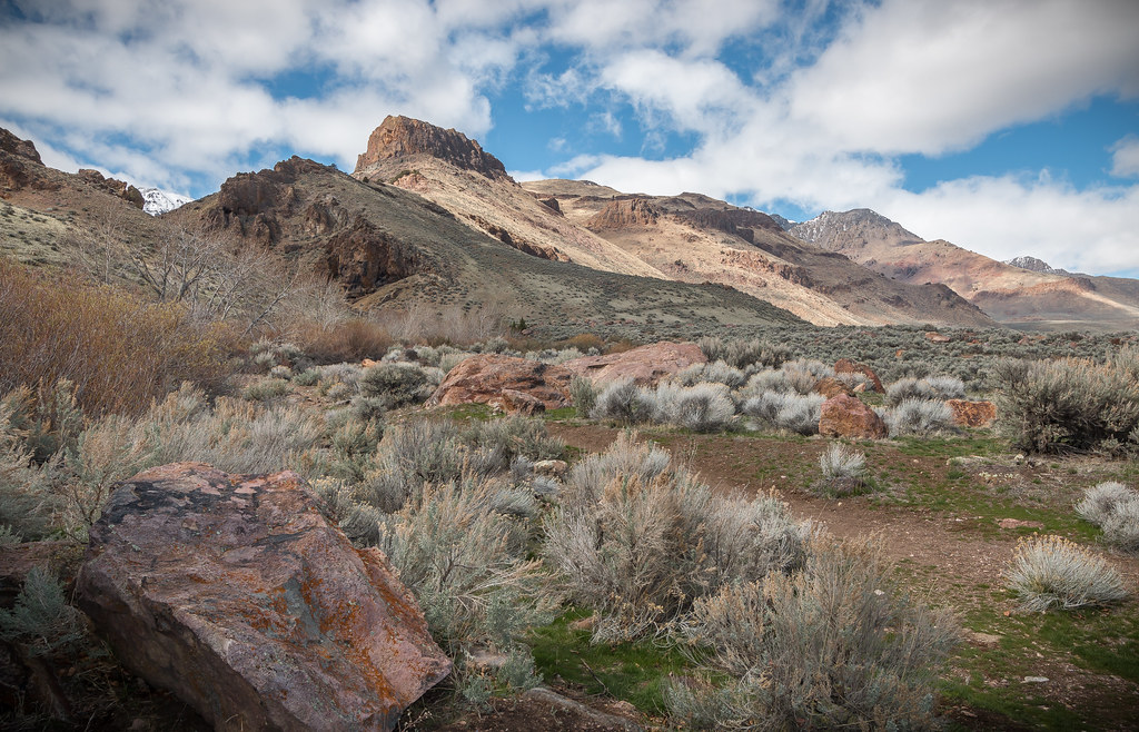 Steens Mountain, East Side Trailside view of east side of … Flickr