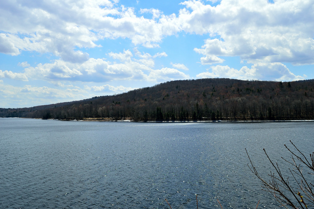 Elevation of Bernard Rd, Jacksonville, VT, USA Topographic Map