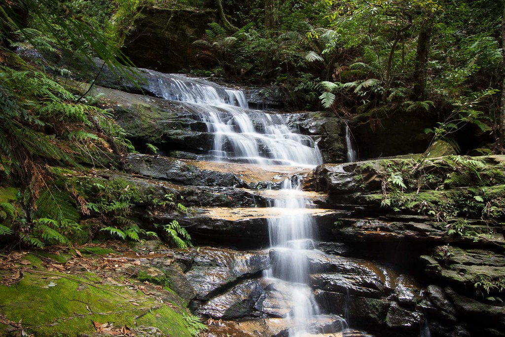 Edith Falls III Valley of the Waters walk, Wentworth Falls… Flickr