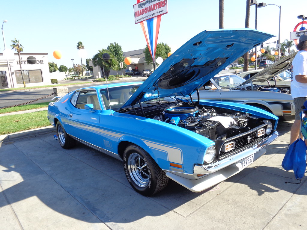 DSC08972 2014 Orange County Mustang Club Car Show Kent Mc Creary