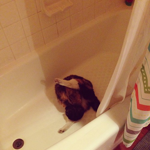Because you are supposed to bathe in the bathtub. Northendgirl Flickr