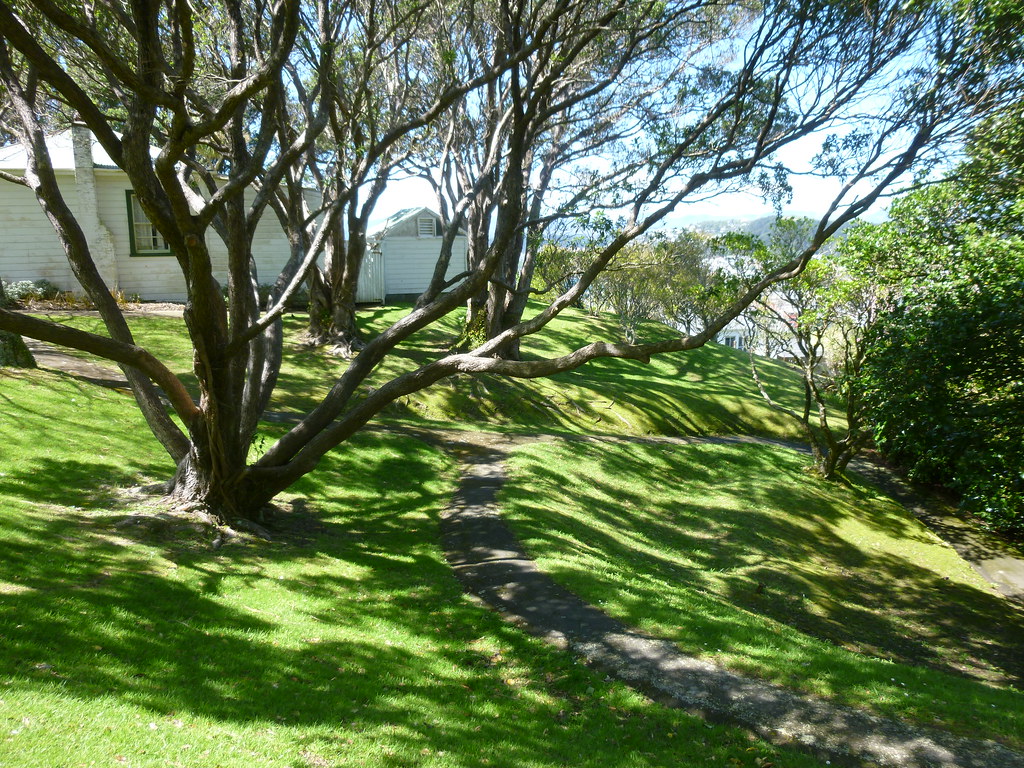 Botanic gardens, Thorndon, Wellington, New Zealand 201310… Flickr