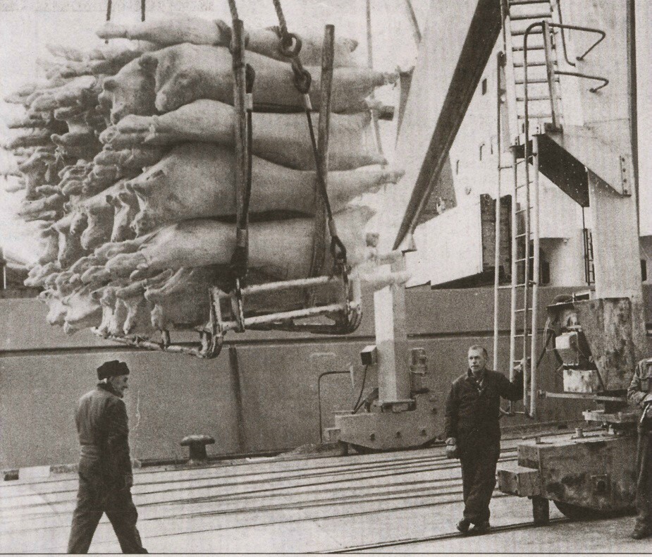 Loading Meat (Dunedin) 1982 MIKOS35 Flickr