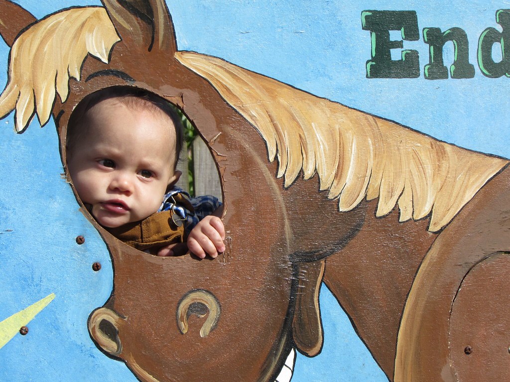 Wyatt My grandson. Lazy Acres Chunky, Mississippi Necie Flickr