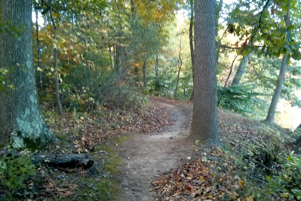 Trail view Lums Pond State Park, Bear, DE Morton Fox Flickr