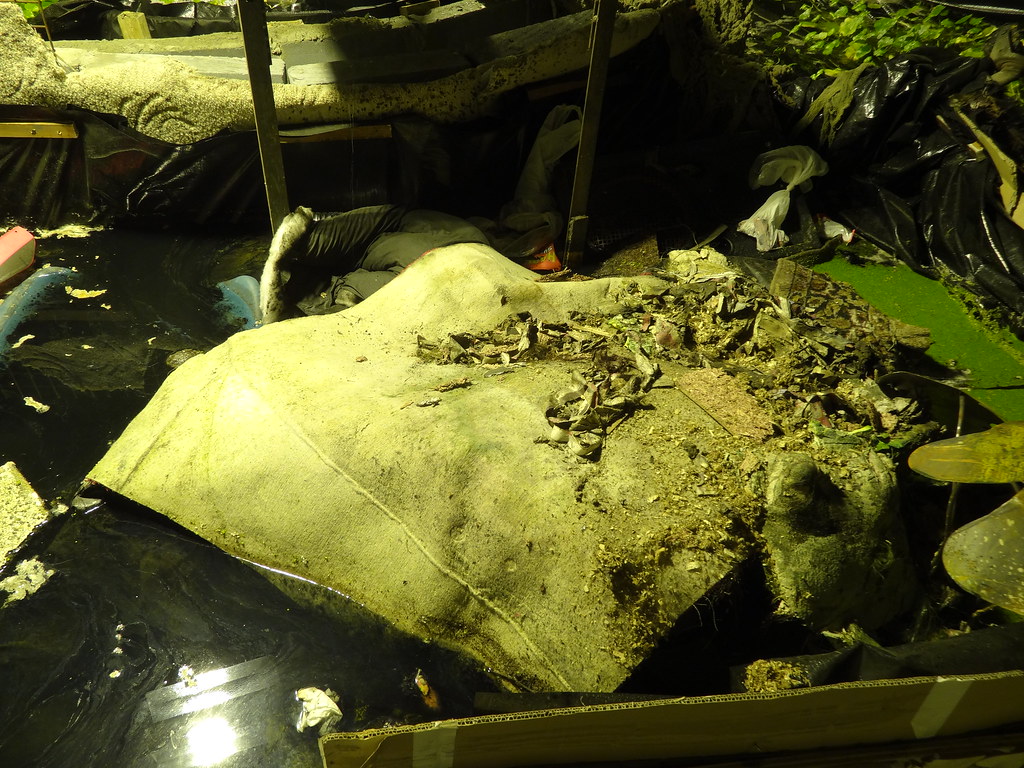 Mechanical Garden and Other Long Encores An installation a… Flickr