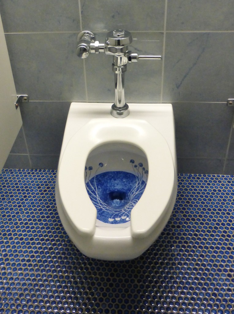 Blue toilet Smith College Museum of Art Northampton, MA Ar… Flickr