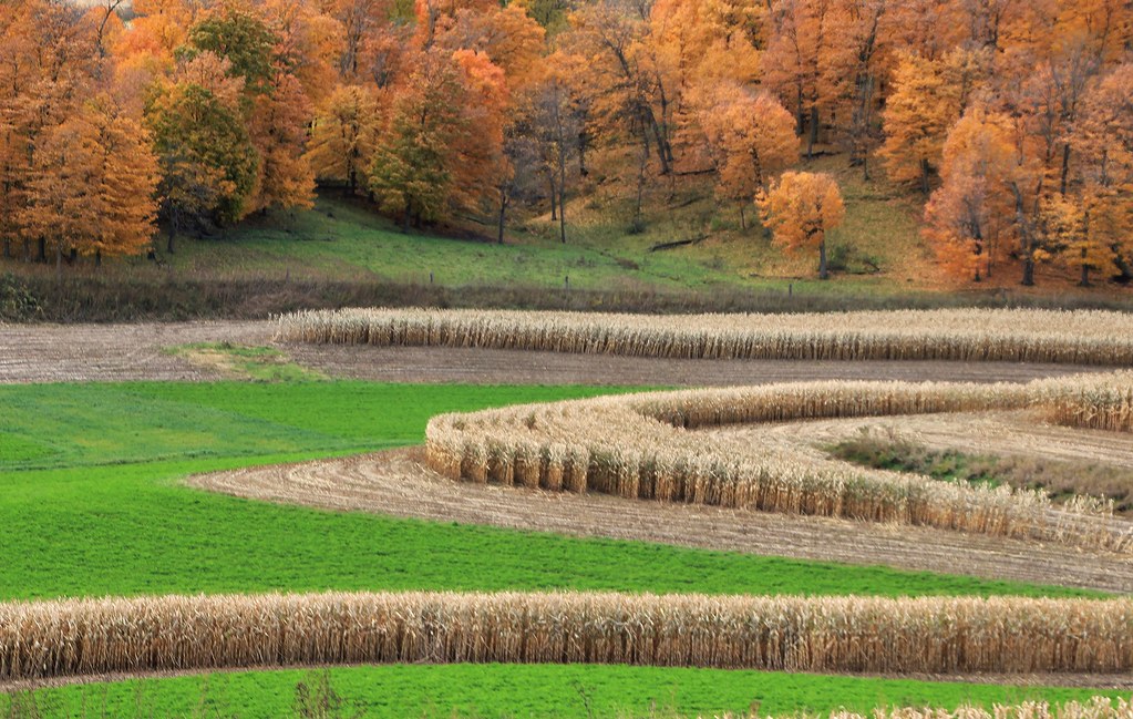 Harpers Ferry . . . The rolling hills of northeast Iowa ne… Flickr